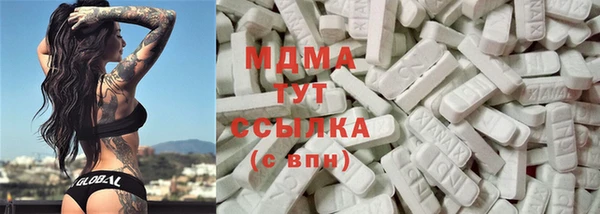 индика Кинешма